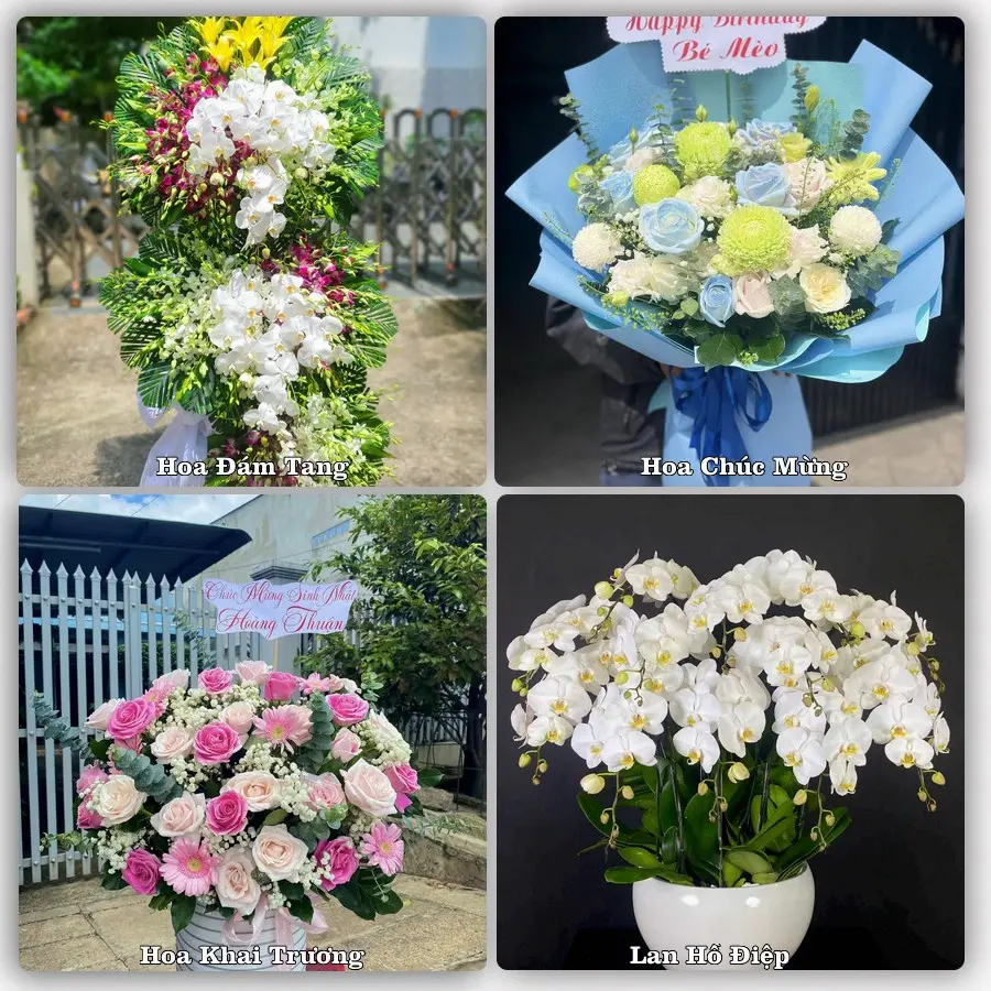 Tư vấn chọn hoa theo người nhận và dịp tặng tại Phường Tuy Hòa
