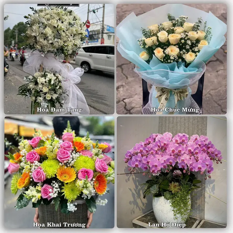 Shop hoa Xã Vĩnh Thành, Vĩnh Long – tư vấn mẫu, giao tận nơi