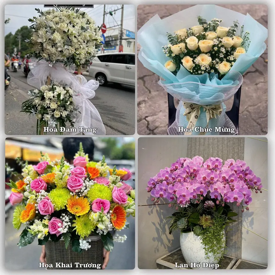 Mẫu hoa phục vụ nhu cầu đặt hoa tại Xã Vĩnh Thành - Tỉnh Vĩnh Long