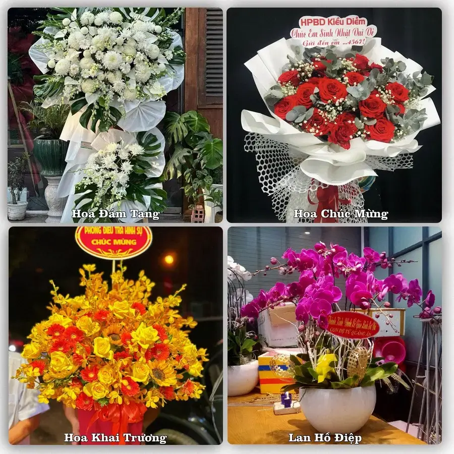 Điện hoa Phường An Phong, Hải Phòng – đặt online, xem hình trước khi giao