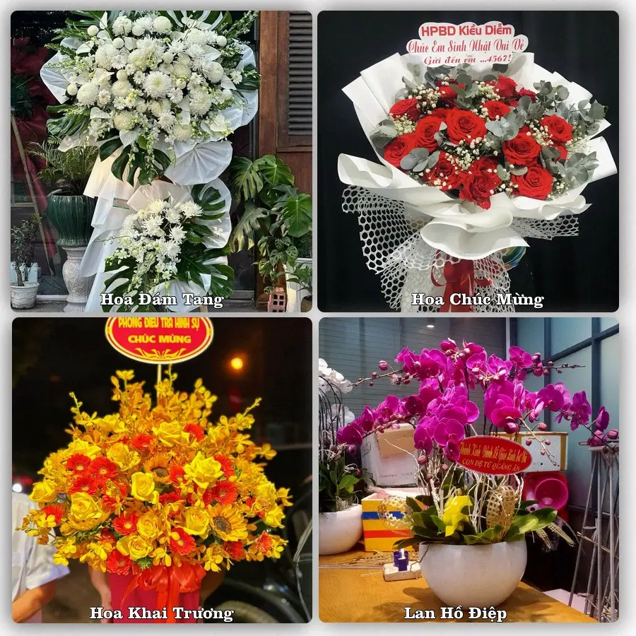 Mẫu hoa phục vụ nhu cầu đặt hoa tại Phường An Phong - Thành phố Hải Phòng