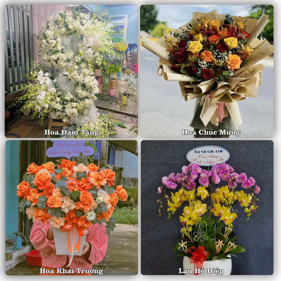 Tư vấn chọn hoa theo người nhận và dịp tặng tại Phường An Phong - Thành phố Hải Phòng