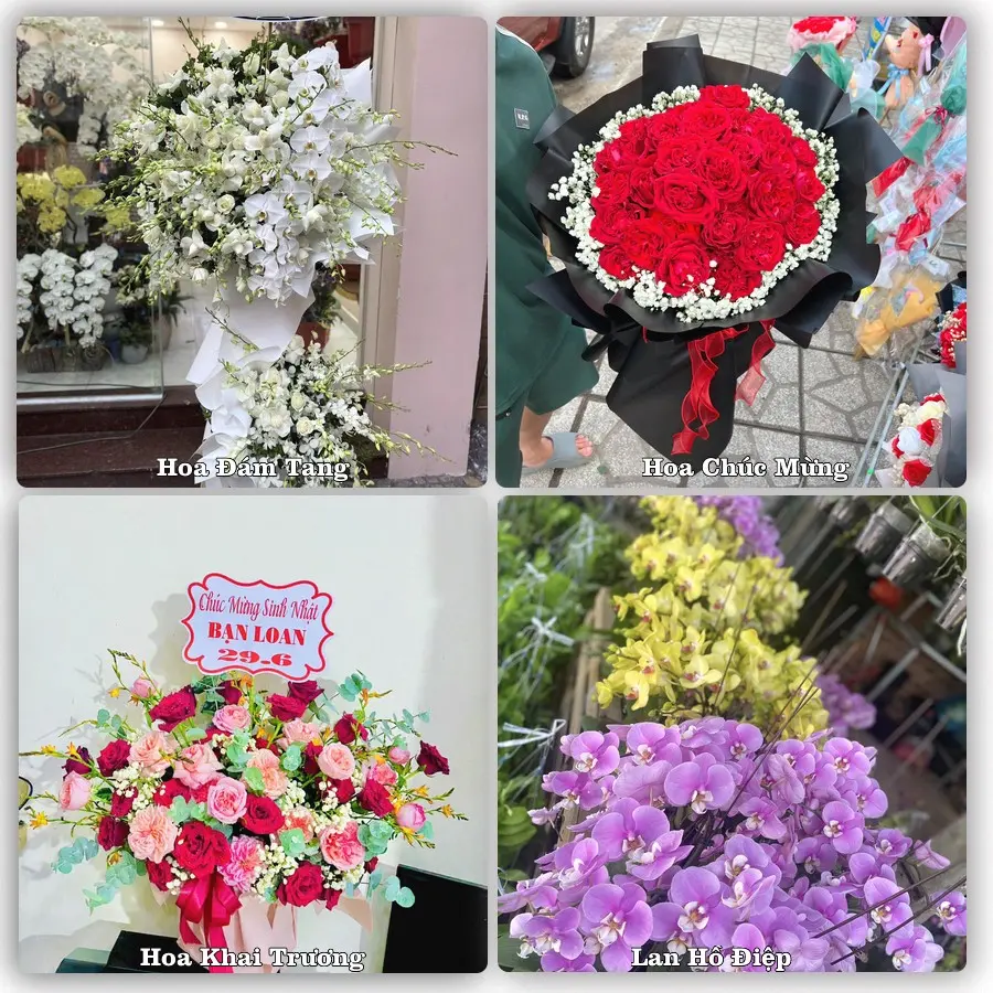 Tư vấn chọn hoa theo người nhận và dịp tặng tại Xã Bình Thạnh Đông - Tỉnh An Giang