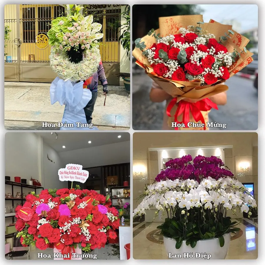 Dịch vụ đặt hoa và giao tận nơi tại Xã Giao Ninh - Tỉnh Ninh Bình