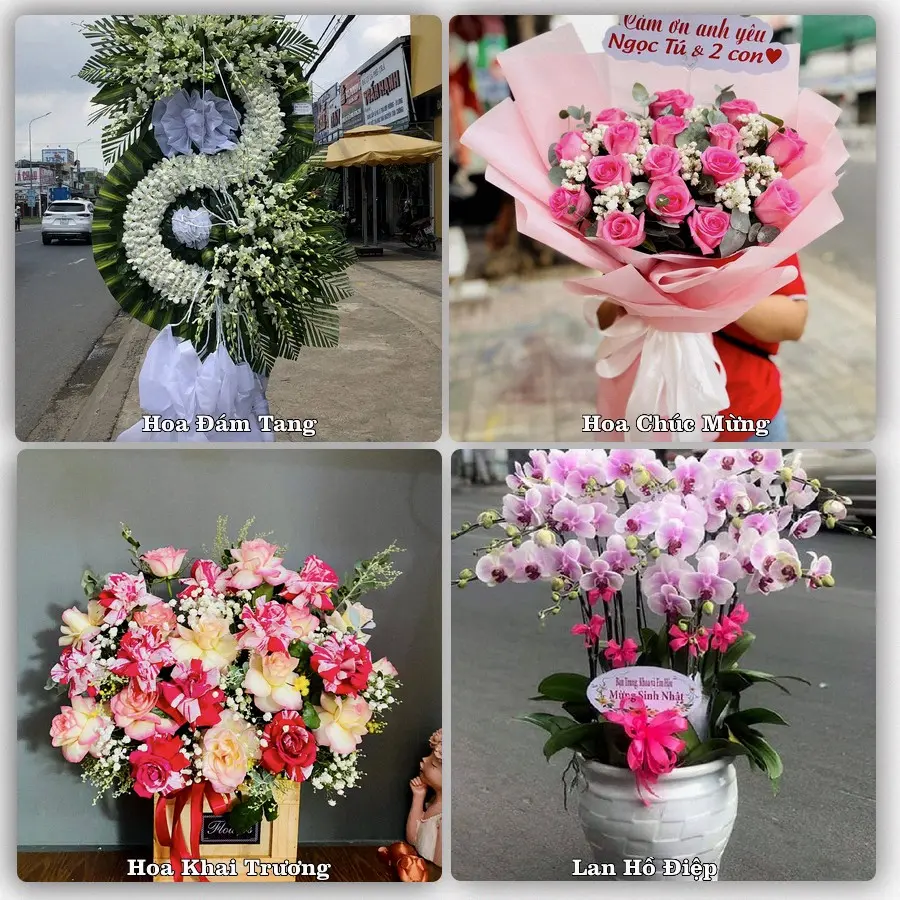 Mẫu hoa phục vụ nhu cầu đặt hoa tại Xã Giao Ninh - Tỉnh Ninh Bình