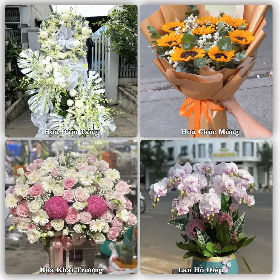 Tư vấn chọn hoa theo người nhận và dịp tặng tại Xã Giao Ninh - Tỉnh Ninh Bình