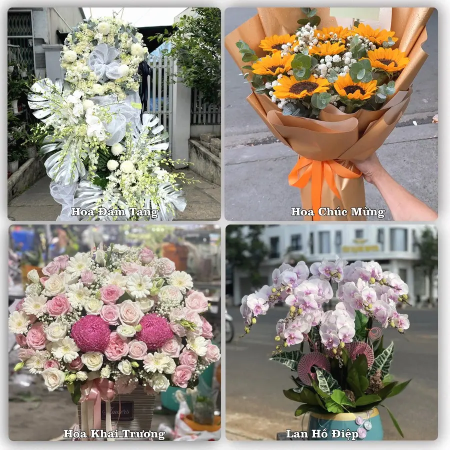 Tư vấn chọn hoa theo người nhận và dịp tặng tại Xã Giao Ninh - Tỉnh Ninh Bình