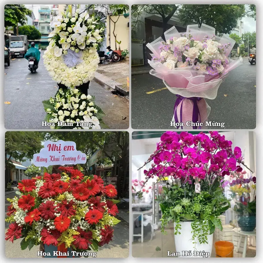 Dịch vụ đặt hoa và giao tận nơi tại Phường Hàm Thắng - Tỉnh Lâm Đồng