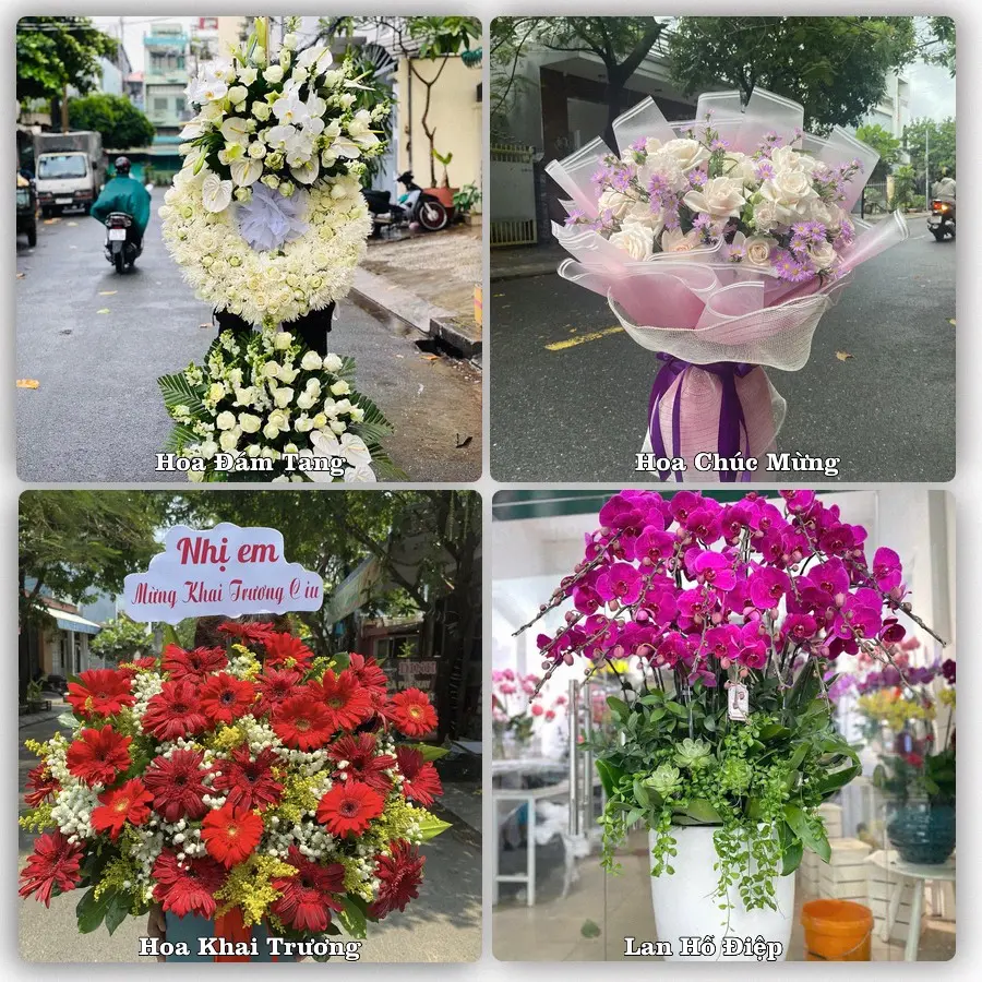 Dịch vụ đặt hoa và giao tận nơi tại Phường Hàm Thắng - Tỉnh Lâm Đồng