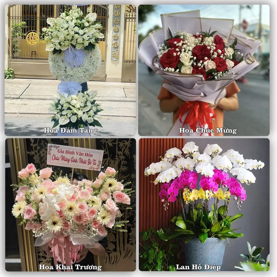 Tư vấn chọn hoa theo người nhận và dịp tặng tại Phường Kon Tum - Tỉnh Quảng Ngãi