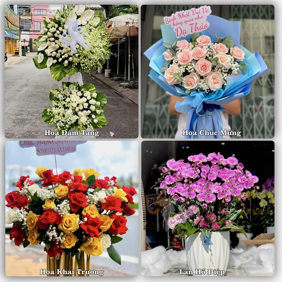 Tư vấn chọn hoa theo người nhận và dịp tặng tại Xã Long Hưng - Tỉnh Đồng Tháp