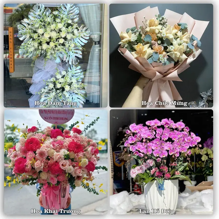 Tư vấn chọn hoa theo người nhận và dịp tặng tại Phường Quế Võ - Tỉnh Bắc Ninh
