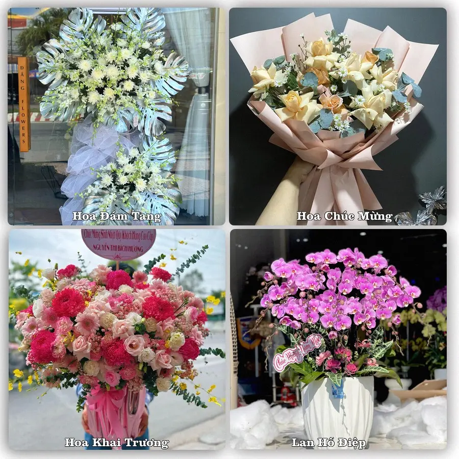 Tư vấn chọn hoa theo người nhận và dịp tặng tại Phường Quế Võ - Tỉnh Bắc Ninh
