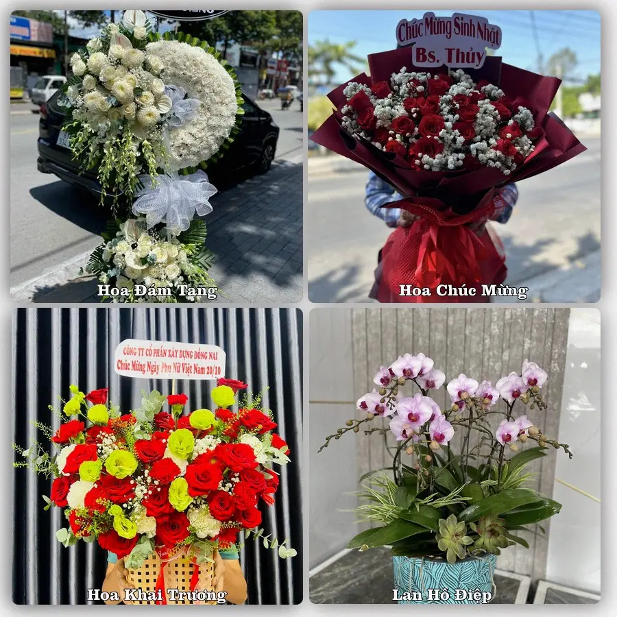 Tư vấn chọn hoa theo người nhận và dịp tặng tại Phường Tân Hạnh - Tỉnh Vĩnh Long
