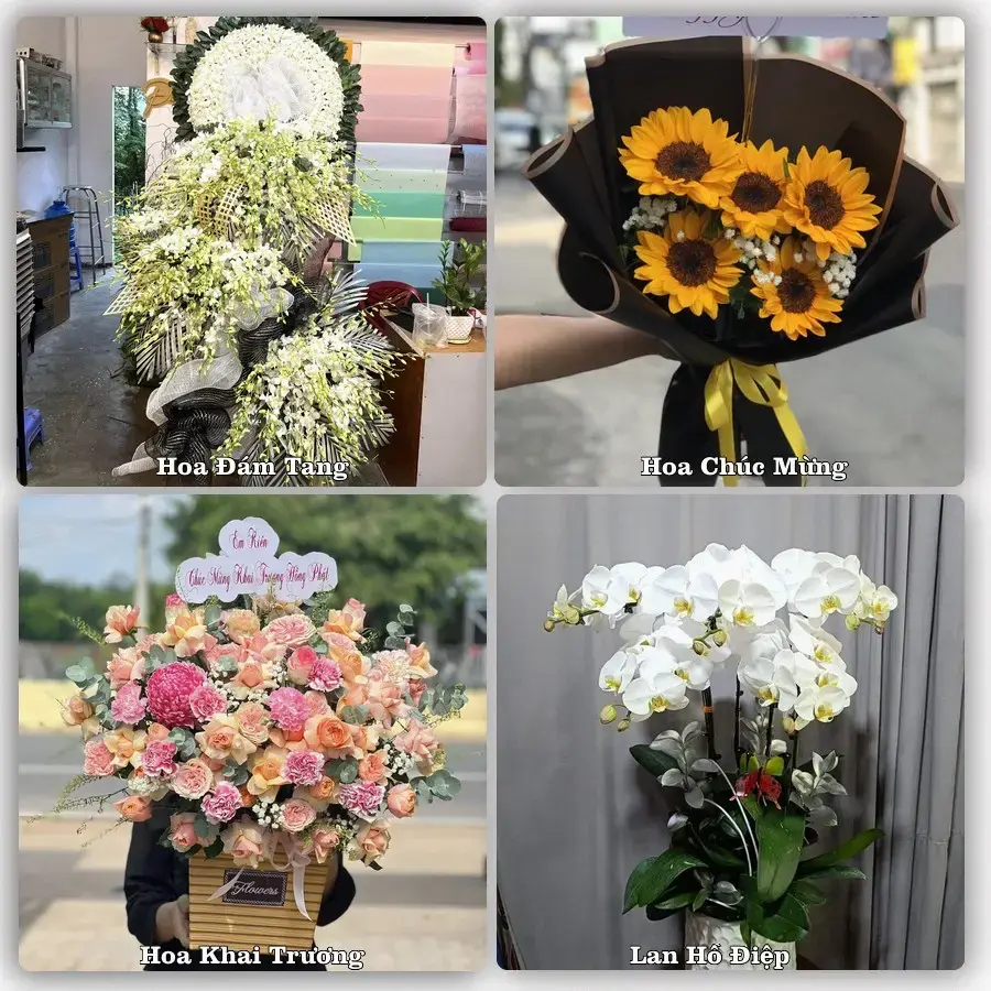 Shop hoa tươi Phường Thiên Hương, Hải Phòng – đặt hoa theo dịp, giao tận nơi