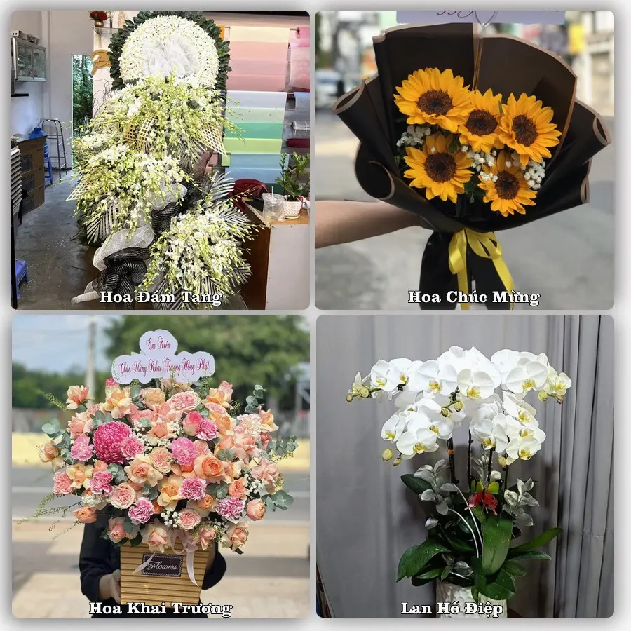 Mẫu hoa phục vụ nhu cầu đặt hoa tại Phường Thiên Hương - Thành phố Hải Phòng