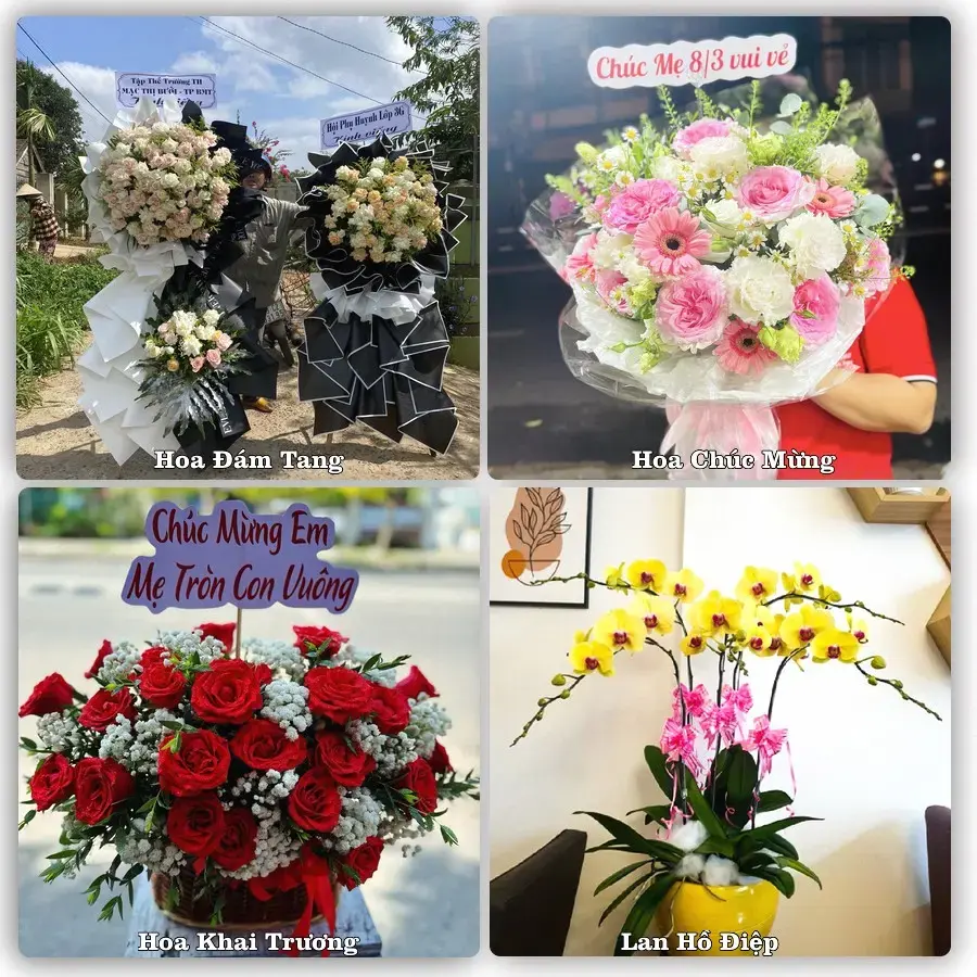 Tư vấn chọn hoa theo người nhận và dịp tặng tại Phường Thiên Hương - Thành phố Hải Phòng