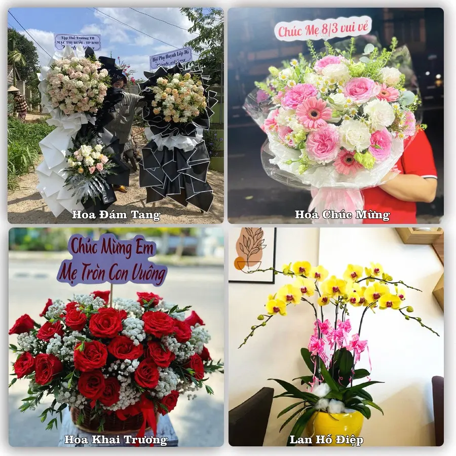 Tư vấn chọn hoa theo người nhận và dịp tặng tại Phường Thiên Hương - Thành phố Hải Phòng