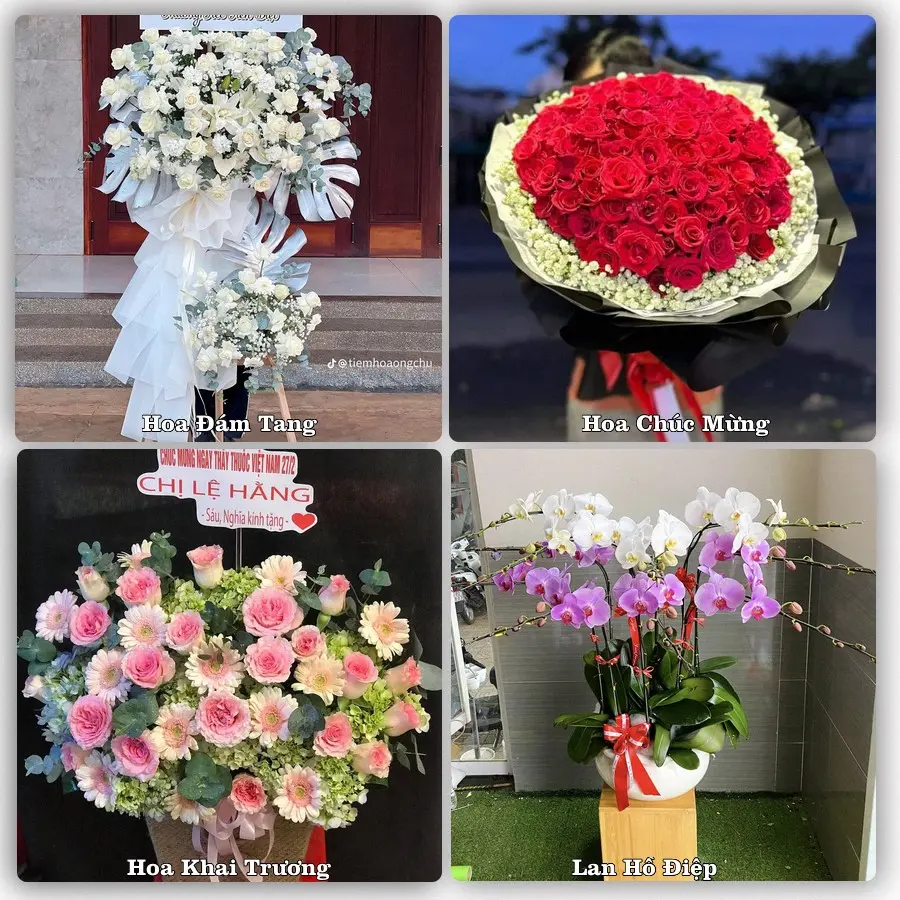 Tư vấn chọn hoa theo người nhận và dịp tặng tại Xã Thiệu Hóa - Tỉnh Thanh Hóa