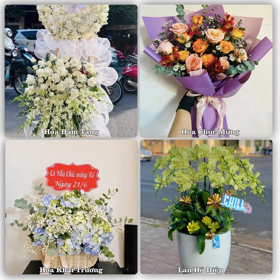 Tư vấn chọn hoa theo người nhận và dịp tặng tại Xã Tiên Minh - Thành phố Hải Phòng
