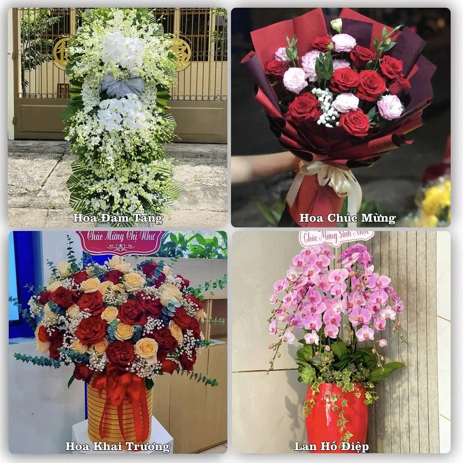 Dịch vụ đặt hoa và giao tận nơi tại Xã Xuân Hưng - Tỉnh Ninh Bình