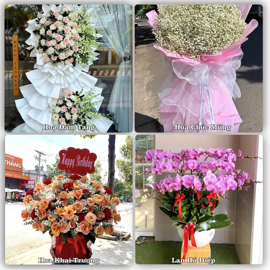 Tư vấn chọn hoa theo người nhận và dịp tặng tại Xã Yên Từ - Tỉnh Ninh Bình