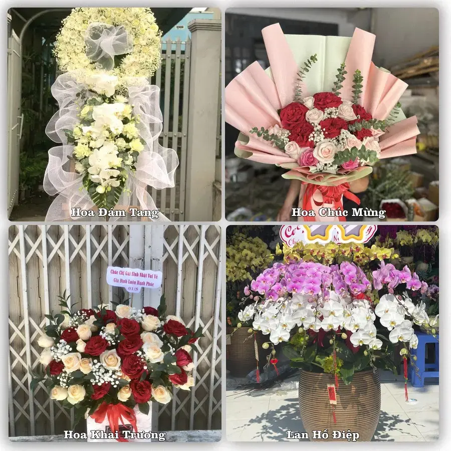 Hoa tươi Xã Bắc Tiên Hưng, Hưng Yên – mẫu hoa theo dịp, giá tham khảo