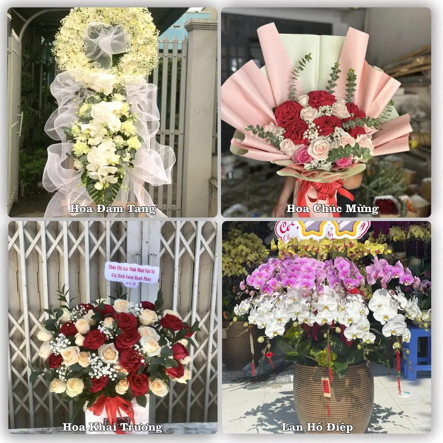 Mẫu hoa phục vụ nhu cầu đặt hoa tại Xã Bắc Tiên Hưng - Tỉnh Hưng Yên