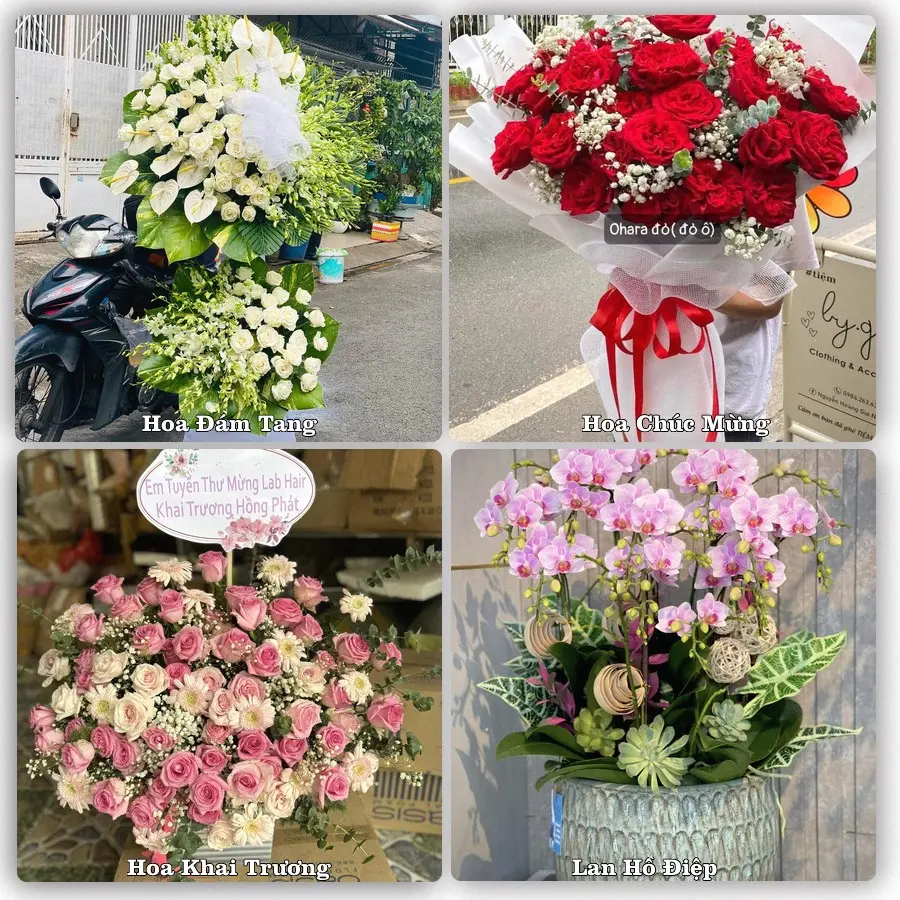 Dịch vụ đặt hoa và giao tận nơi tại Xã Bình Mỹ - Thành phố Hồ Chí Minh
