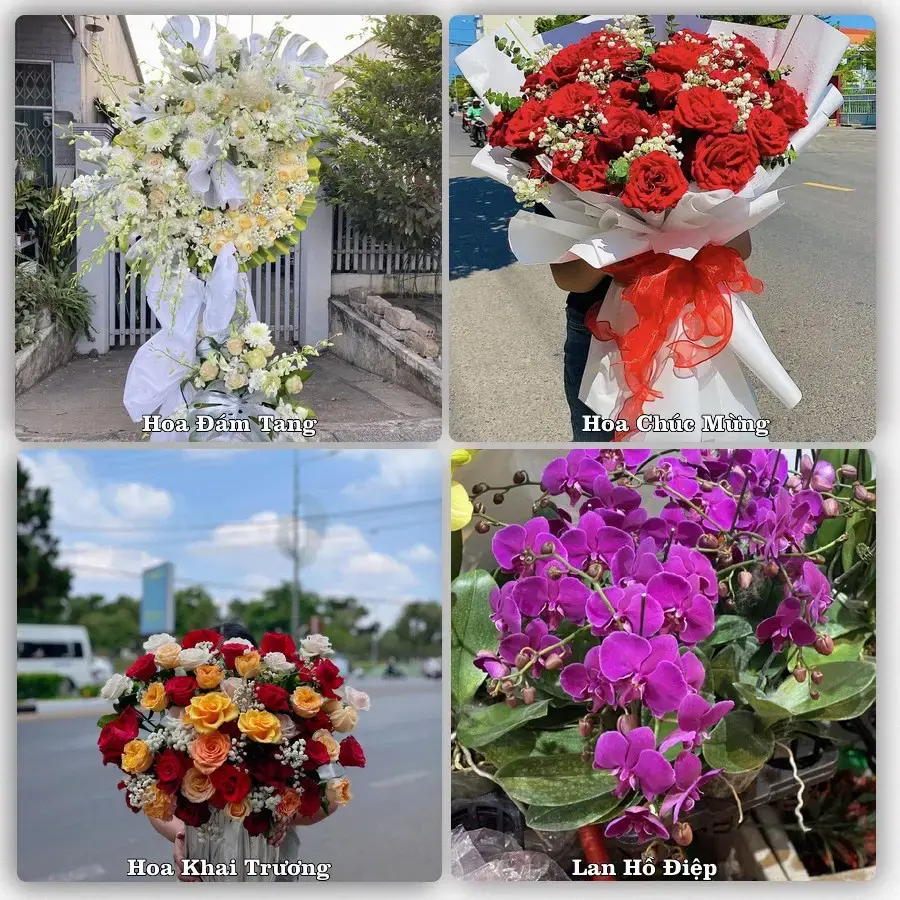 Shop hoa tươi Xã Bình Mỹ, Hồ Chí Minh – đặt hoa theo dịp, giao tận nơi