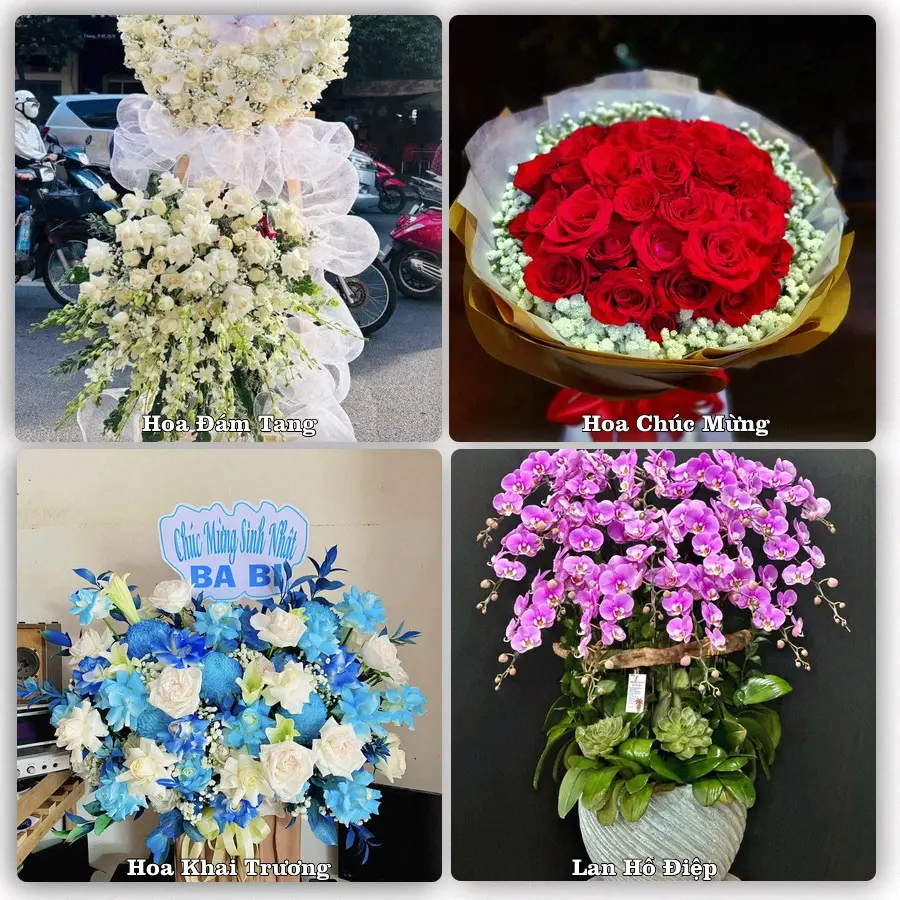 Tư vấn chọn hoa theo người nhận và dịp tặng tại Xã Đường An - Thành phố Hải Phòng