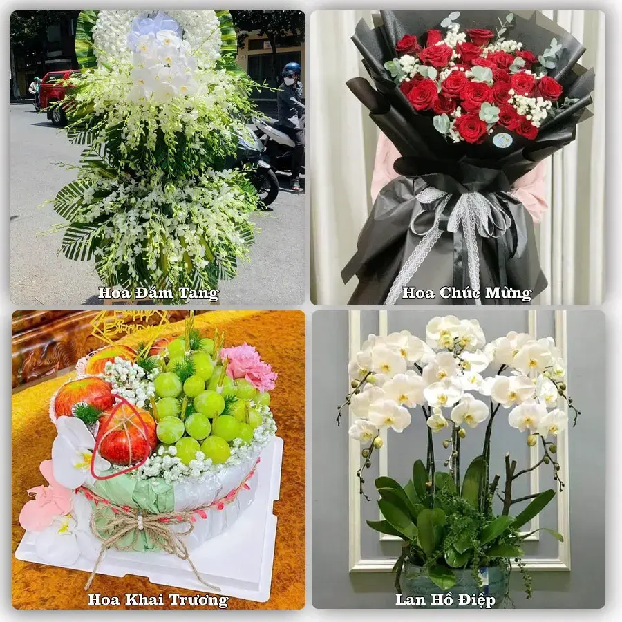 Shop hoa tươi Phường Hòa Bình, Phú Thọ – đặt hoa theo dịp, giao tận nơi
