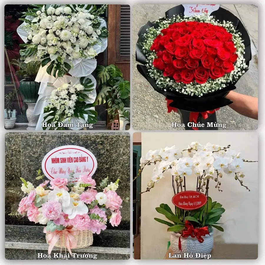 Hoa tươi Phường Hoài Nhơn Đông, Gia Lai – mẫu hoa theo dịp, giá tham khảo