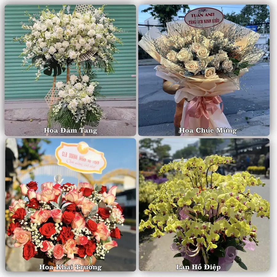 Tư vấn chọn hoa theo người nhận và dịp tặng tại Phường Hoài Nhơn Đông - Tỉnh Gia Lai