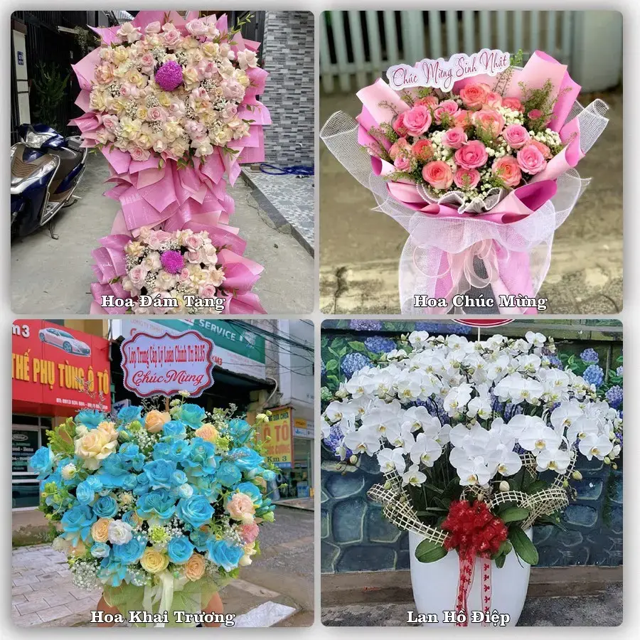 Hoa tươi Xã Lai Khê, Hải Phòng – mẫu hoa theo dịp, giá tham khảo