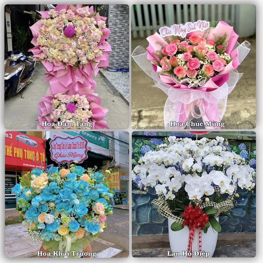 Mẫu hoa phục vụ nhu cầu đặt hoa tại Xã Lai Khê - Thành phố Hải Phòng