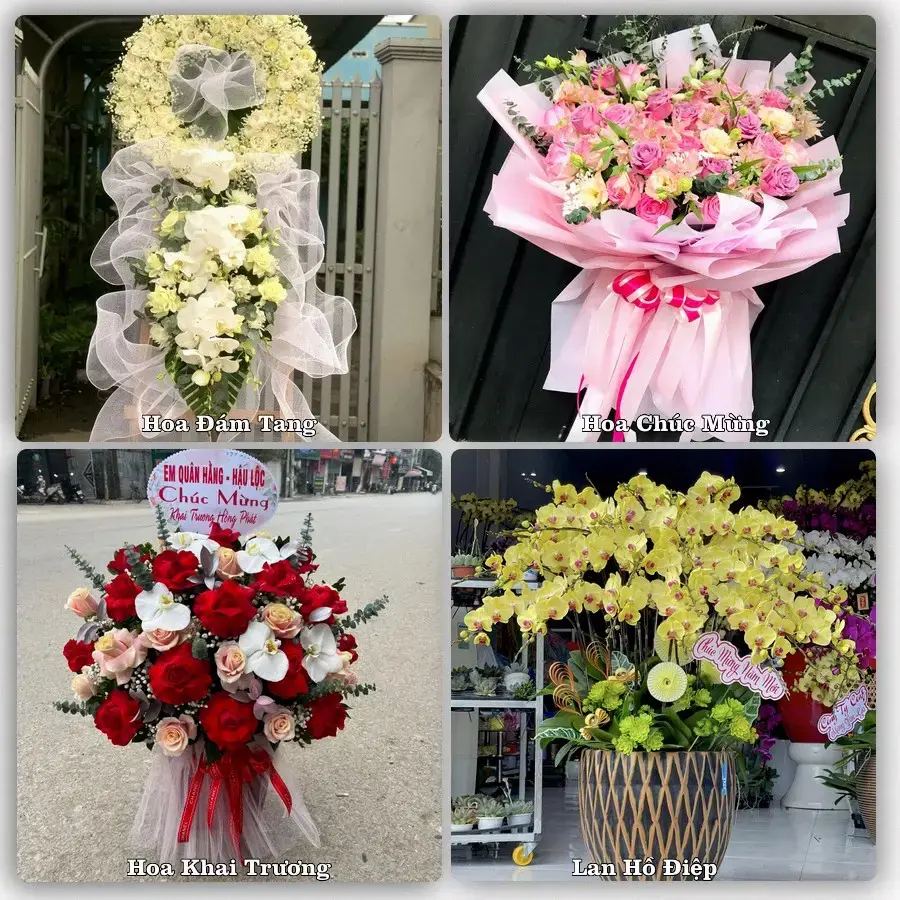 Dịch vụ đặt hoa và giao tận nơi tại Phường Lưu Kiếm - Thành phố Hải Phòng