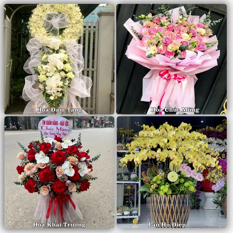Dịch vụ đặt hoa và giao tận nơi tại Phường Lưu Kiếm - Thành phố Hải Phòng