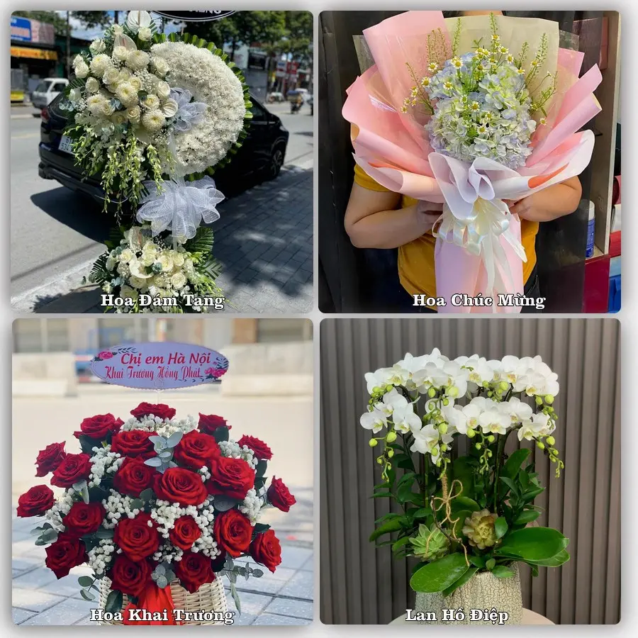 Tư vấn chọn hoa theo người nhận và dịp tặng tại Phường Lưu Kiếm - Thành phố Hải Phòng