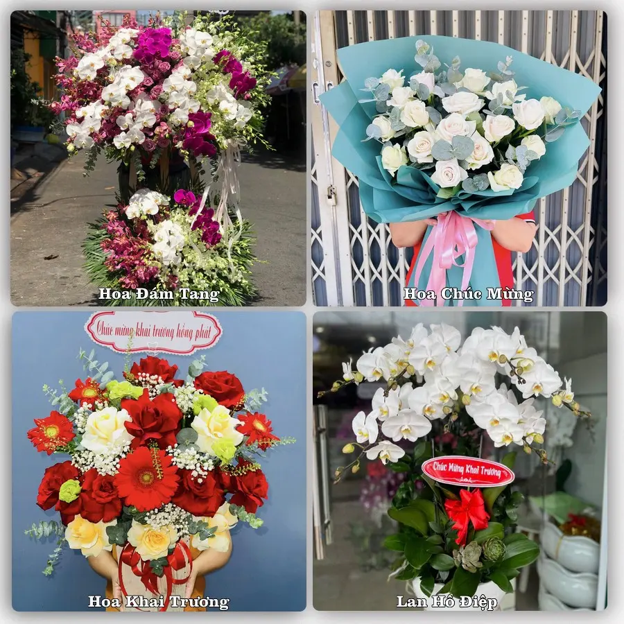 Mẫu hoa phục vụ nhu cầu đặt hoa tại Phường Phú Mỹ - Thành phố Hồ Chí Minh