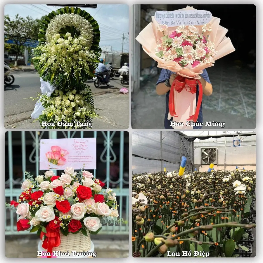 Tư vấn chọn hoa theo người nhận và dịp tặng tại Phường Phú Mỹ - Thành phố Hồ Chí Minh