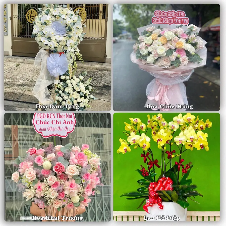 Tư vấn chọn hoa theo người nhận và dịp tặng tại Xã Thái Mỹ - Thành phố Hồ Chí Minh