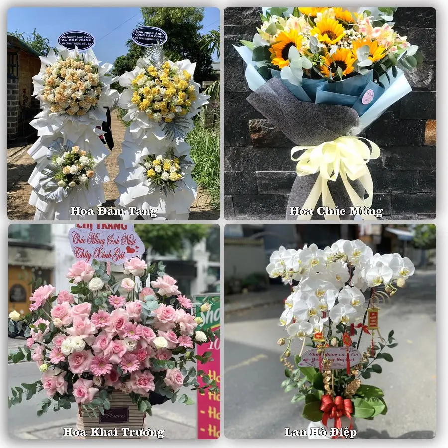 Mẫu hoa phục vụ nhu cầu đặt hoa tại Xã Trần Đề - Thành phố Cần Thơ