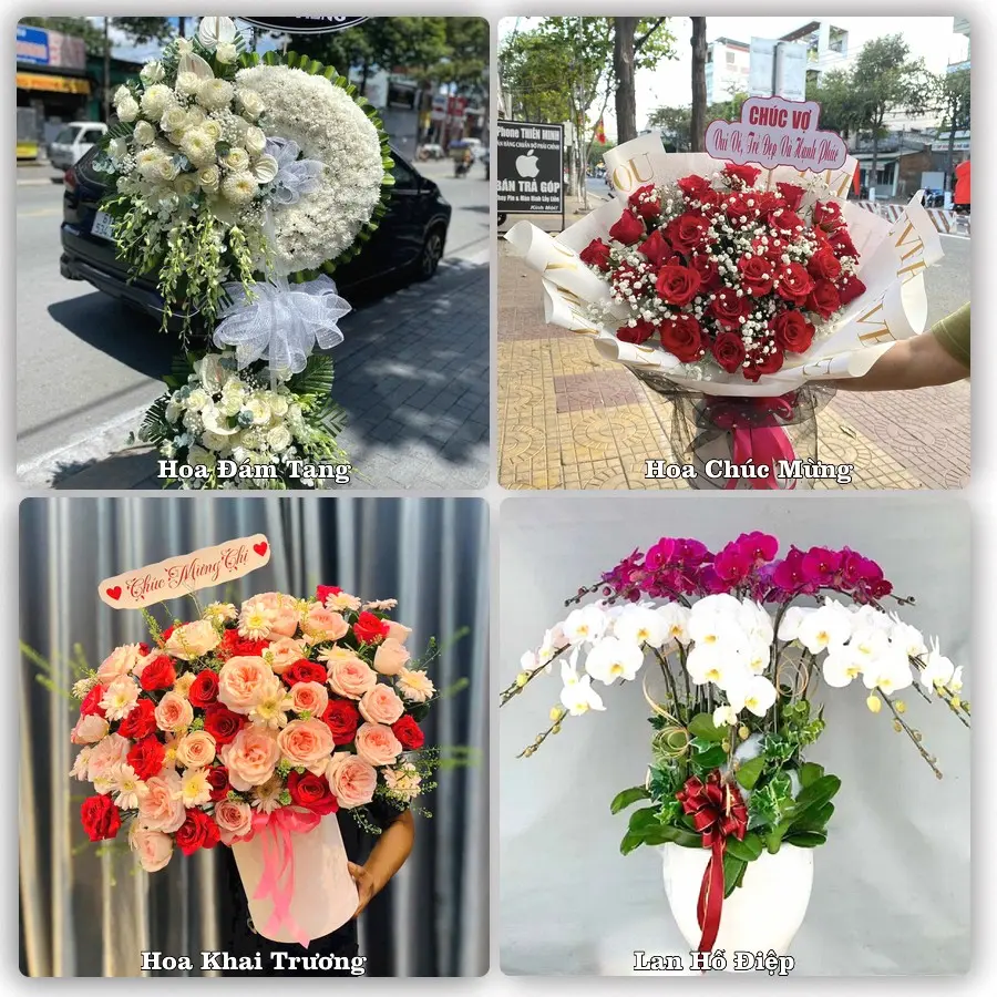 Tư vấn chọn hoa theo người nhận và dịp tặng tại Xã Trần Đề - Thành phố Cần Thơ