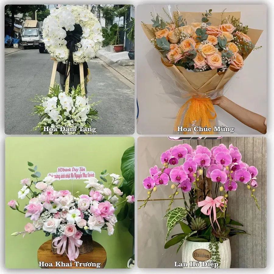 Dịch vụ đặt hoa và giao tận nơi tại Phường Trần Liễu - Thành phố Hải Phòng