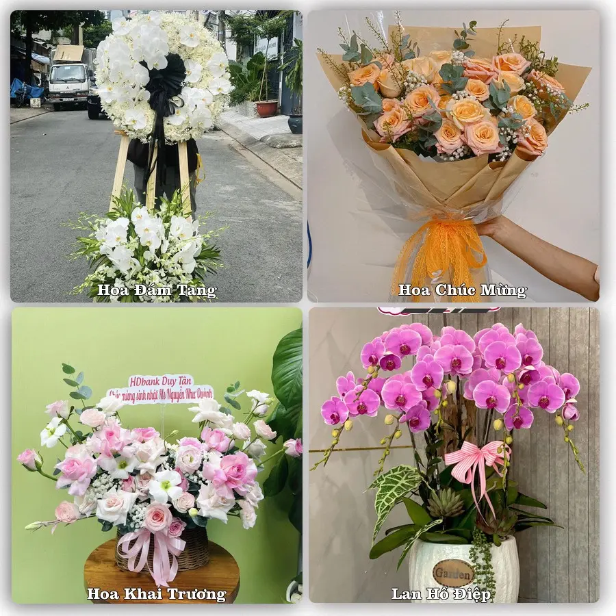 Dịch vụ đặt hoa và giao tận nơi tại Phường Trần Liễu - Thành phố Hải Phòng
