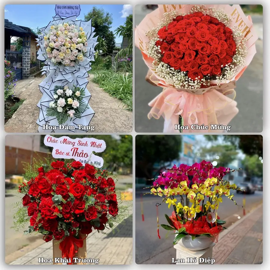 Tư vấn chọn hoa theo người nhận và dịp tặng tại Phường Trần Liễu - Thành phố Hải Phòng