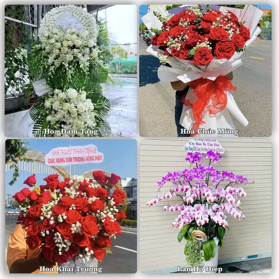 Hoa tươi Phường Trần Phú, Hà Tĩnh – mẫu hoa theo dịp, giá tham khảo