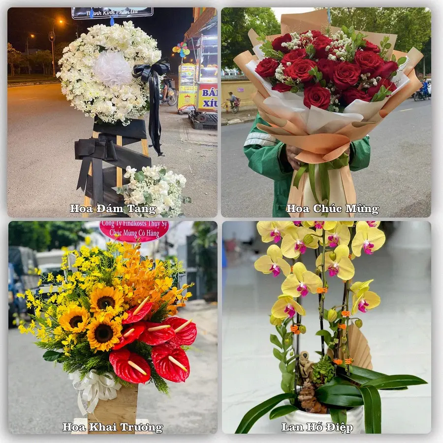 Dịch vụ đặt hoa và giao tận nơi tại Xã Vĩnh Lại - Thành phố Hải Phòng