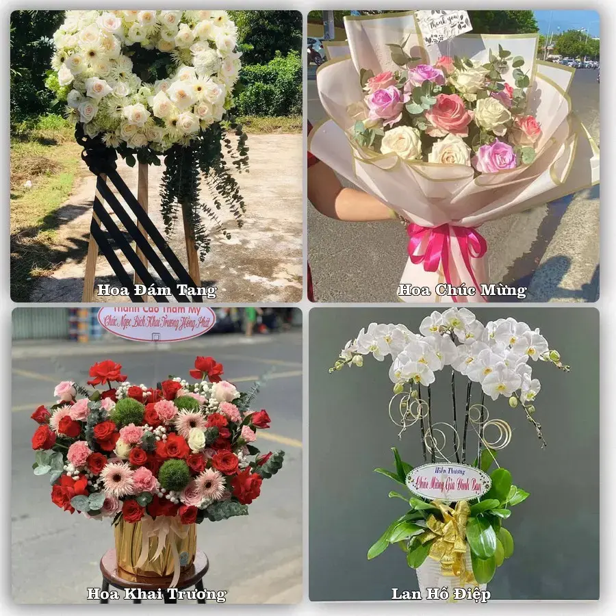Hoa tươi Xã Vĩnh Lại, Hải Phòng – mẫu hoa theo dịp, giá tham khảo